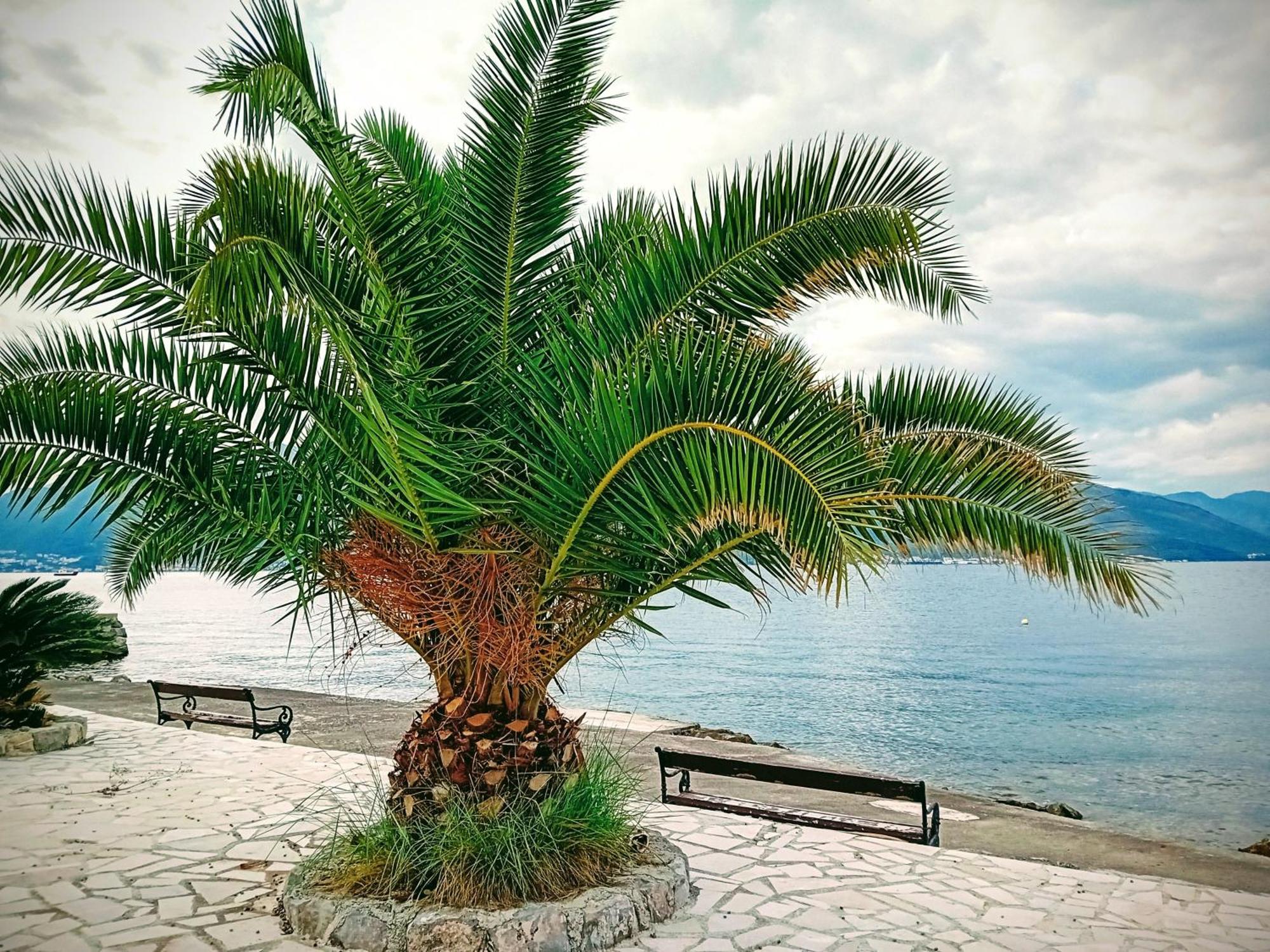 Studio Happy Montenegro Krasići Esterno foto